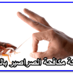 شركة تنظيف مطاعم بالرياض