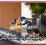 شركة مكافحة النمل الابيض بالرياض