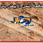 شركة تركيب طارد الحمام بالرياض