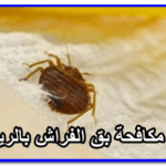 ارخص شركة تعقيم المنازل بالرياض